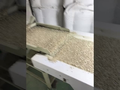 wholesale cheap price barkey grade China sunflower seed kernel Best seller on Amazon