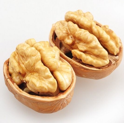 Buy Snack on These Walnut Snacks with 5% Max Broken Kernel from Packaging Workshops online manufacture