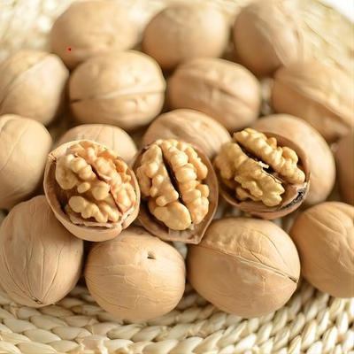 Buy Delicious Carpathian Walnuts The Ideal Ingredient for Your Content online manufacture