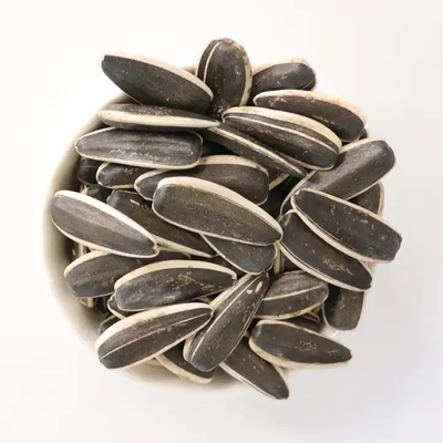 Buy Sunflower seeds in shell Sunflower Seeds 5009 Dried raw sunflower seed kernels for sale online manufacture