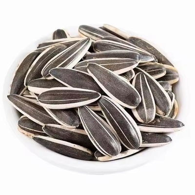 Buy Sunflower Seeds T5 The Ultimate Snack for Health-Conscious Consumers online manufacture