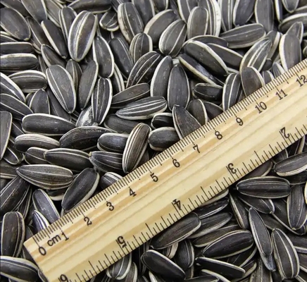 Buy New Crop Sunflower Seeds for Wholesale from Chinese T5 210-220 High Grade Raw 20/25kg Pp Woven Bag Packaging Sun Dried Sets online manufacture