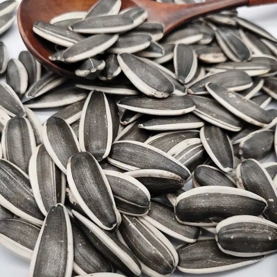 Buy Sunflower Seeds 5009 The Ultimate Snack for Health-Conscious Buyers online manufacture