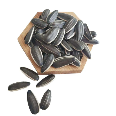 Buy Get Your Daily Dose of Nutrients with Roasted In-Shell Sunflower Seeds 5009 online manufacture