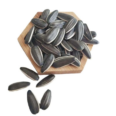 Buy High-quality sunflower seed raw materials are sold directly from the production area online manufacture
