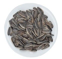 Buy Wholesale large grain sunflower seeds have complete models and reliable quality online manufacture