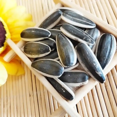 Buy Sunflower Seeds 5009 The Perfect Match for Your Customer Requirements online manufacture