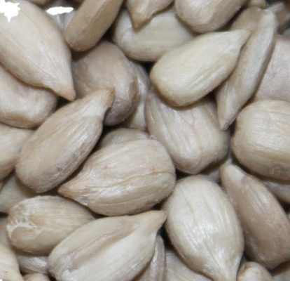 Buy Sunflower Seeds Kernel within 99.9% min. for Sunflower Kernel online manufacture