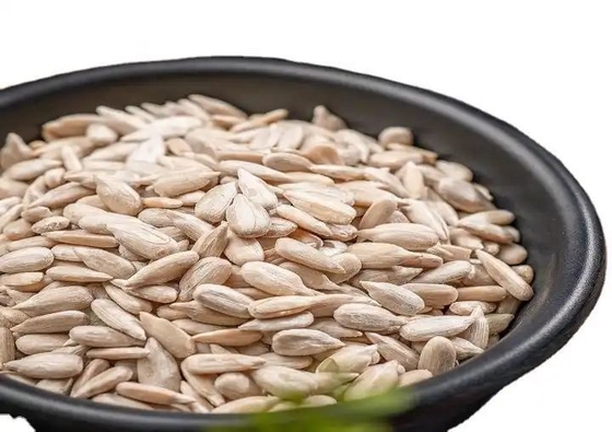 Buy 0.2% Max Sunflower Nut Kernel for Products online manufacture
