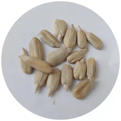 Buy wholesale cheap price barkey grade China sunflower seed kernel Best seller on Amazon online manufacture