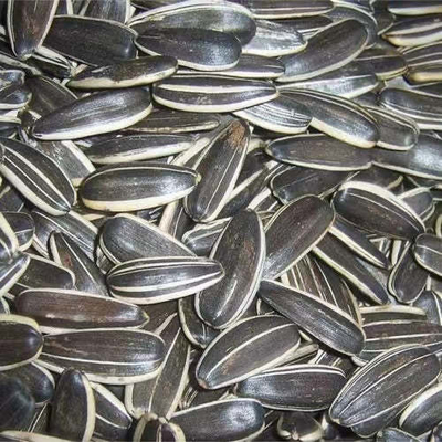 Buy Take Your Business to the Next Level with Sunflower Seeds S3 online manufacture