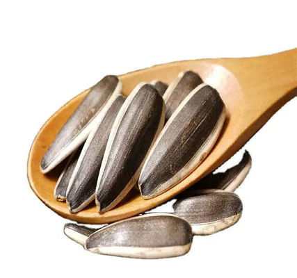 Buy Cultivation Type COMMON Crop Newest crop year Sunshine Snacking Seeds Delicious Snack online manufacture