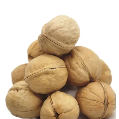 Buy Walnuts Current New Crop In shell best choice Nut, Number one quality - Packed in a 5 lbs. (80 oz.) Bag/Box online manufacture
