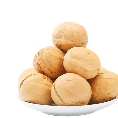 Buy China wholesale XinJiang 185 33 xiner xinfeng xingfu walnuts in shell with extra light walnut prices online manufacture