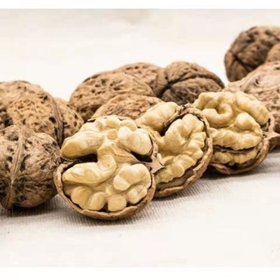 Buy Amazon hot sale Factory Directly Xinjiang walnut xin2 walnut kernel export Russia OEM ODM online manufacture