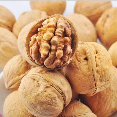 Buy Wholesale Xinjiang xin2 high-quality walnuts exported to Southeast Asia OEM ODM Amazon’s best-selling products online manufacture