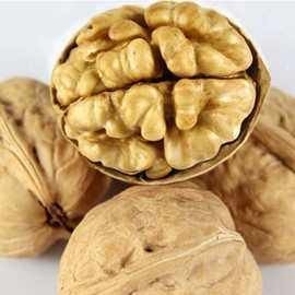 Buy Wholesale Walnut Inshell Fresh Delicious Nutrition Kernel Food Dried Walnuts Factory Price Amazon’s best-selling products online manufacture