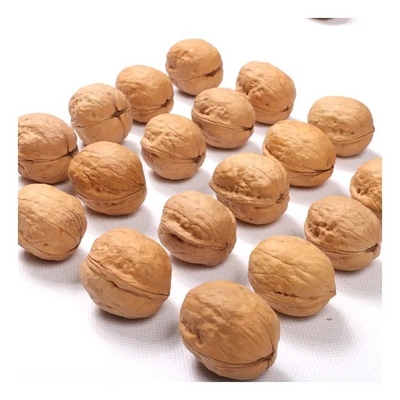 Buy Amazon hot sale High Quality Cheap Wholesale Price Dried Raw Walnuts For sale online manufacture