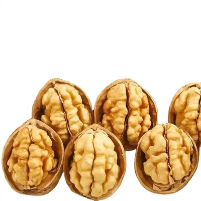Buy Amazon hot sale Factory direct sales 185/33/xin2/xingfu walnut and walnut kernels with best quality online manufacture