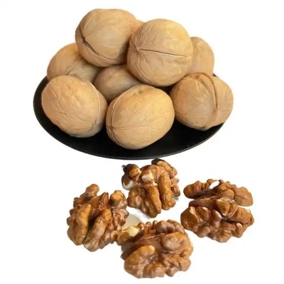 Buy Chinese Factory bulk sale high-quality Xinjiang big walnuts in shelled and dried fruits and nuts online manufacture