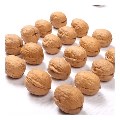 Buy Manufacturer bulk sale Xinjiang 185 walnuts in shelled and xin2/33 walnuts online manufacture