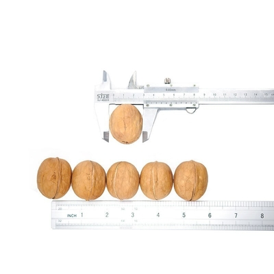 Buy Amazon hot sale High Quality Best Price Wholesale Factory xinjiang Thin Skin 185 walnut 32mm+ online manufacture