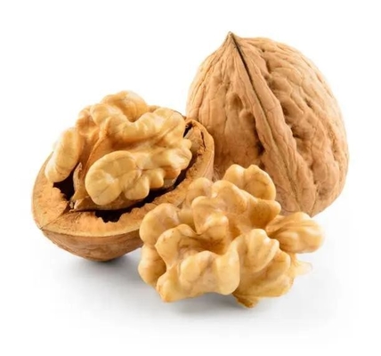 Buy China New Crop Hot Sale In Turkey From China Walnuts Kernel Halves Paper Shell Walnut online manufacture