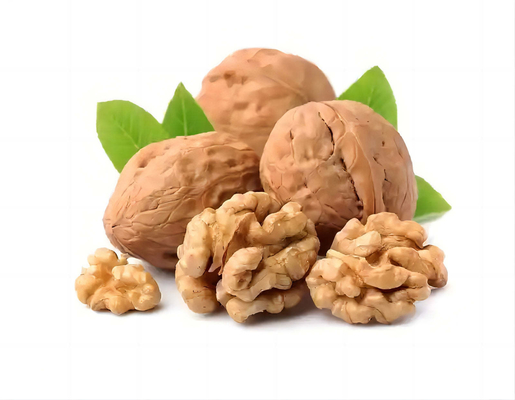 Buy Bulk Paper Shell Walnut Kernels In Shell Natural Color XinFu Kernel Xinjiang Dry Fruits online manufacture