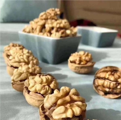Buy Upgrade Your Product Line with Walnut Kernel Xin 2 in Bulk online manufacture