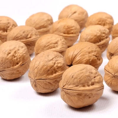 Buy 2% Max Broken Content Walnut Nut for Products online manufacture