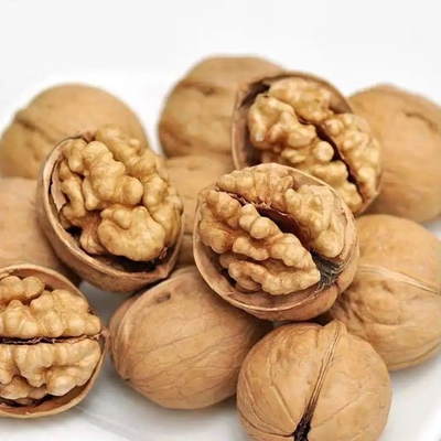 Buy Dry and Cool Storage for Customer Requirements Persian Walnut online manufacture