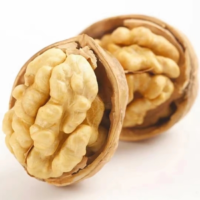 Buy Factory 1kg Walnuts Price Walnut Halves Wholesale China Top Thin Raw Amber 25kg/bag Packaging Raw Dried Walnut Kernel Dried Nuts online manufacture