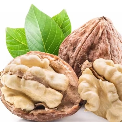 Buy Boost Your B2B Business with Walnut Kernel 33 Sourced from Trusted Suppliers online manufacture