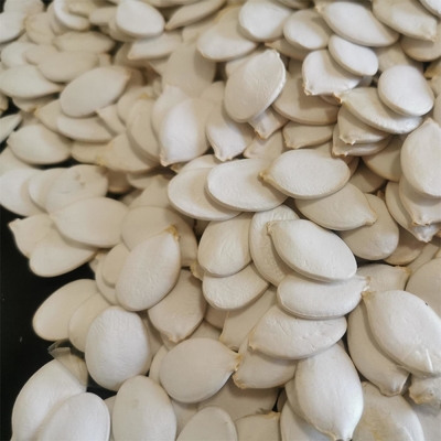 Buy Moisture 7%max Top Grade Snow White Pumpkin Heads for Your Requirements online manufacture