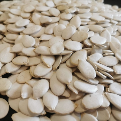 Buy Top grade Snow White Pumpkin Seeds with Moisture 7%max online manufacture