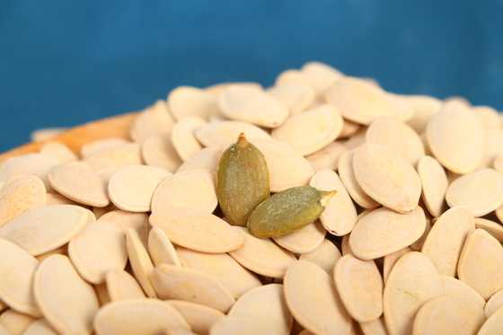 Processing Baked Lustrous Husk Pumpkin Seeds Advanced Grade for Processing