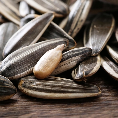 Sunflower Seeds T6 The Perfect Snack for Your Customers' Satisfaction