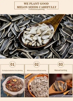 China Factory Process Five Fragrant Spices Boiled Salted Roasted Sunflower Seeds