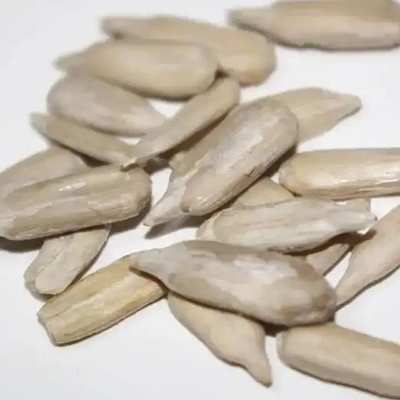 Confectionery Grade Sunflower Kernel with 0.05% Max 0.2% Max
