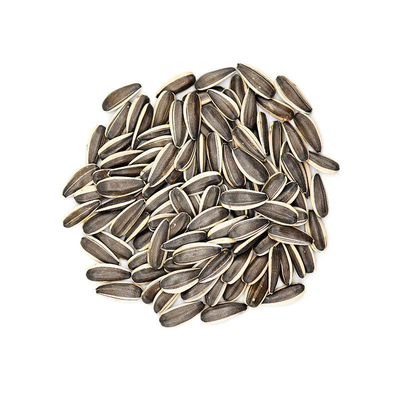 Buy high-quality sunflower seed raw materials from China at the lowest wholesale prices Amazon’s best-selling products