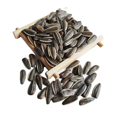 Amazon hot sale Sell high-quality sunflower seed raw materials that meet Egypt's import requirements