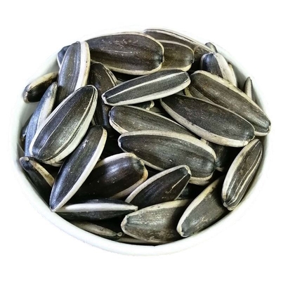 Bulk Inner Mongolia Raw Material Large Type 363/361 Organic Sunflower Seeds Cheap Price