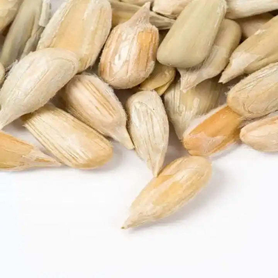 High quality confectionery grade and barkey grade sunflower seed kernel for snack with cheap price