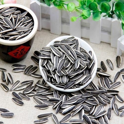 Fresh Sunflower Seeds Snack Pack for Your On-the-go Lifestyle