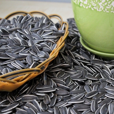 Highly Nutritious Sunflower Seeds 3668 The Perfect Fit