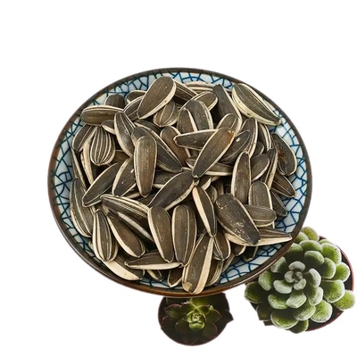 Competitive Price Hot Sales Roasted Sunflower Seeds Customized Packaging Dried Flowers Raw Sunflower Oil China Eat 5 Ton 190 361
