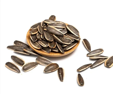 Competitive Price Hot Sales Roasted Sunflower Seeds Customized Packaging Dried Flowers Raw Sunflower Oil China Eat 5 Ton 190 361