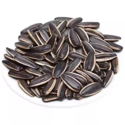 T6 Sunflower Seeds A Delicious and Healthy Snack for Busy B2B Professionals on the Go