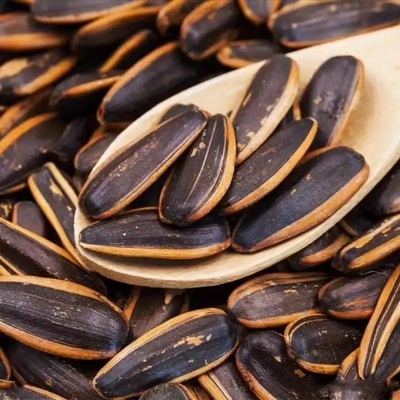 Snacks Factory Process caramel flavor Caramel Boiled Salted Roasted Sunflower Seeds