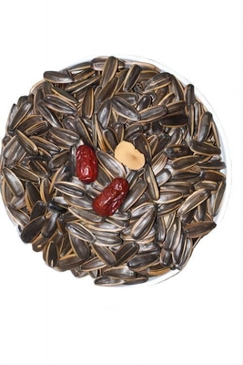 Wholesale Now Black High Quality Export Red Date Flavor Roasted Sunflower Seeds 361